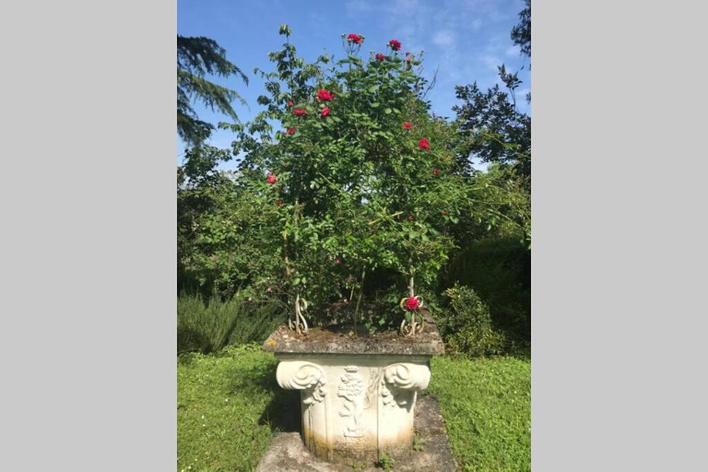 Ferienwohnung Casa La Torre Un Castello Alle Porte Di Firenze Exterior foto